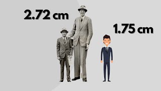 Height COMPARISON Tallest people in the WORLD [upl. by Okiam]