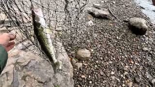 Best Walleye Pickerel Fishing Spots 2023 Yearend Review [upl. by Terbecki274]