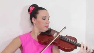 Stentor Conservatoire 1550  Violin Review [upl. by Nekal]