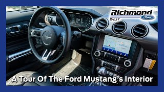 Ford Mustang Interior Tour [upl. by Sajovich]