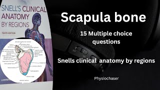 Scapula bone MCQs Multiple choice questions related to scapula bone Upper limb bone [upl. by Lavona]