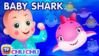 Baby Shark Song  Sing and Dance  Animal Songs for Children  ChuChu TV Nursery Rhymes amp Kids Songs [upl. by Jamnis]