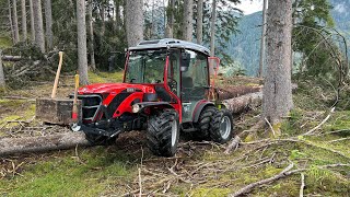 Windwurf aufarbeiten mit Carraro [upl. by Lucy]