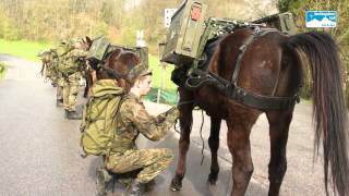 Gebirgsjäger im Angriff [upl. by Salita]