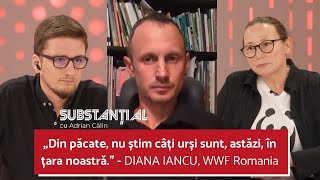 CE FACEM CU URȘII RELOCARE ÎMPUȘCARE SAU…RAMÂNE TOTUL LA FEL  SUBSTANTIAL [upl. by Audsley]