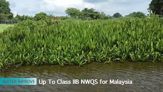 Constructed Wetland Systems in BIOECOLOGICAL DRAINAGE SYSTEM BIOECODS [upl. by Sedinoel733]