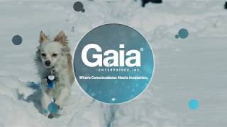 Gaia Enterprises at Global Pet Expo 2020 [upl. by Elcarim961]