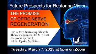 Prospects for Restoring Vision in Patients with Glaucoma The Promise of Optic Nerve Regeneration [upl. by Dera]