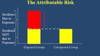 Attributable Risk [upl. by Sinnelg]