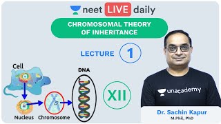 Genetics  Lecture 1  Chromosomal Theory  Unacademy NEET  LIVE DAILY  NEET Biology  Sachin Sir [upl. by Naujud]