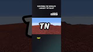 MRBEAST WORLDS LARGEST TNT BLAST MINECRAFT youtubeshorts minecraft [upl. by Einahpets]