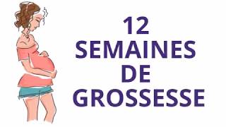 12 SEMAINES DE GROSSESSE OU Douzième semaine de grossesse [upl. by Weingarten]