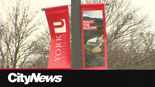 York University students call for refund [upl. by Primaveria542]