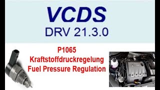 P1065 Kraftstoffdruckregelung Regeldifferenz  VW Audi Seat Skoda  VCDS  Lösung [upl. by Gisser]