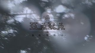 kara バイバイハッピーデイズ！ [upl. by Rudolph]