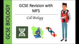 GCSE Biology Diffusion Osmosis and Active Transport Exam Questions [upl. by Tolecnal257]