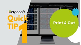 Cutting  Quick Tip 1  Cut File Set Up in Adobe Illustrator [upl. by Hsiwhem]