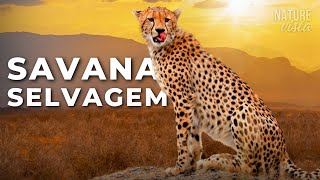 SAVANA AFRICANA  Predadores Brutais e Natureza Épica  DOCUMENTÁRIO COMPLETO [upl. by Erdnassak444]