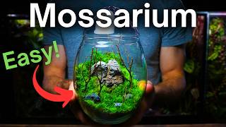 Creating a Moss Terrarium  Mossarium Tutorial [upl. by Analak]