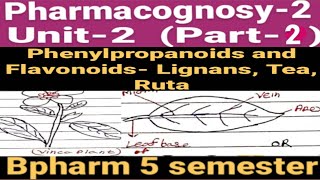 phenylpropanoids and Flavonoidsред LignansредTeaредRutaред Pharmacognosy2 Unit2 ред Bpharm 5 semester [upl. by Jumbala174]