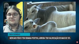 Boi gordo mercado físico tem semana positiva arroba tem valorização de mais de 10  Canal Rural [upl. by Carlie]