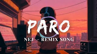 Nej  Paro  Remix Song  Lofi [upl. by Sylvester]