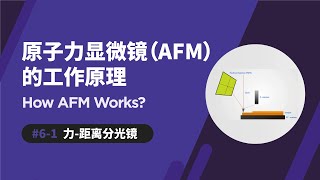 力距离分光镜  原子力显微镜如何运作  ForceDistance Spectroscopy  How AFM Works [upl. by Ahsinehs795]