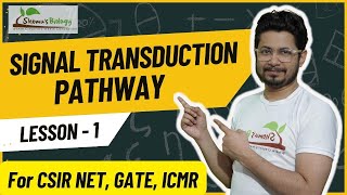 Signal transduction pathway  How signal transduction pathway works [upl. by Ravaj421]