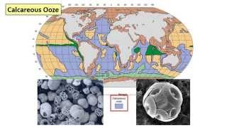 13  Deep sea sediments [upl. by Mahoney515]