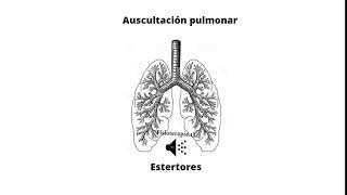 Ruidos respiratorios agregados  Estertores [upl. by Waxman]