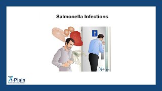 Salmonella Infections [upl. by Issim613]