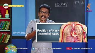 KITE VICTERS STD 09 Biology Class 14 First Bellഫസ്റ്റ് ബെല്‍ [upl. by Lalla]