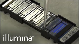 Learn About Illuminas Infinium Protocol [upl. by Chev730]