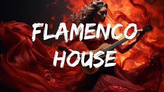 Flamenco AfroHouse  Notre Dame [upl. by Annaiv728]