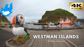 Iceland Walking Tour  Westman Islands 4K [upl. by Westleigh]