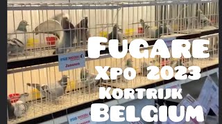 Fugare International Xpo Kortrijk Belgium 2023 [upl. by Aisined]