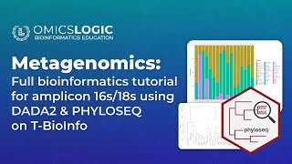 Metagenomics Full tutorial for amplicon 16s18s pipeline  DADA2 and PHYLOSEQ on the TBioInfo [upl. by Hillegass]