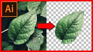 How to cut out an image  object in Illustrator CC 2018 [upl. by Euqininod356]