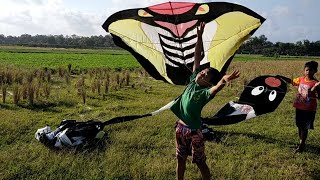 sibocil joki layangan ular cobra dan cacing terpanjang [upl. by Rosena412]