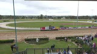 Gympie 25112023 Race 4 [upl. by Studley52]