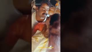 Sreeraagamo Thedunnu  onv kurup  K J Yesudas  Mohanlal  Shobana  Pavithram songoftheday [upl. by Sanalda]