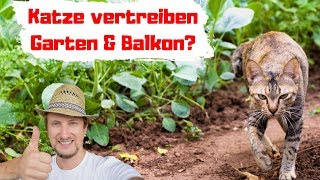 Katze vertreiben im Garten amp Balkon 🐱 Kennst du diesen Trick [upl. by Wie887]