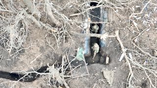 Combat Footage  Drone DESTROYS Russian Trench [upl. by Marne]