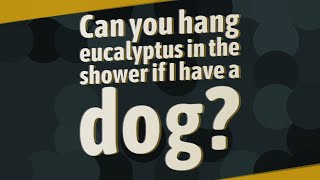 Can you hang eucalyptus in the shower if I have a dog [upl. by Dyrraj]