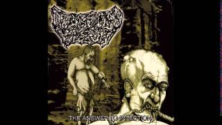 Digested Flesh  The Answer To Infection Full Album [upl. by Neural]