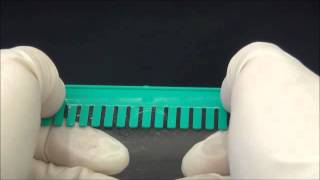 How to remove the comb from SDSPAGE gel method 2 [upl. by Ynneh]