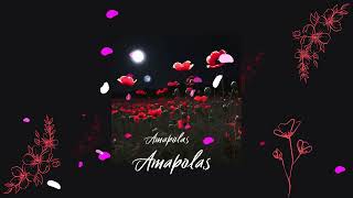 Leo Rizzi  Amapolas Buccjarz Remix [upl. by Lyndy769]