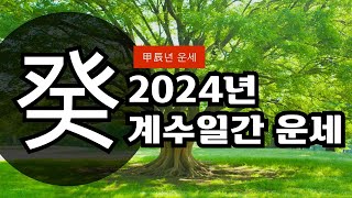 갑진년 2024년 계수일간 운세 [upl. by Celine958]