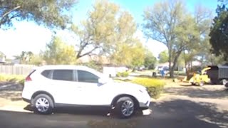 Pollen cloud erupts as tree hits ground after being cut down in Friendswood [upl. by Irrehc600]