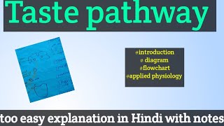 Taste pathway physiology of taste pathway physiology [upl. by Nolos]